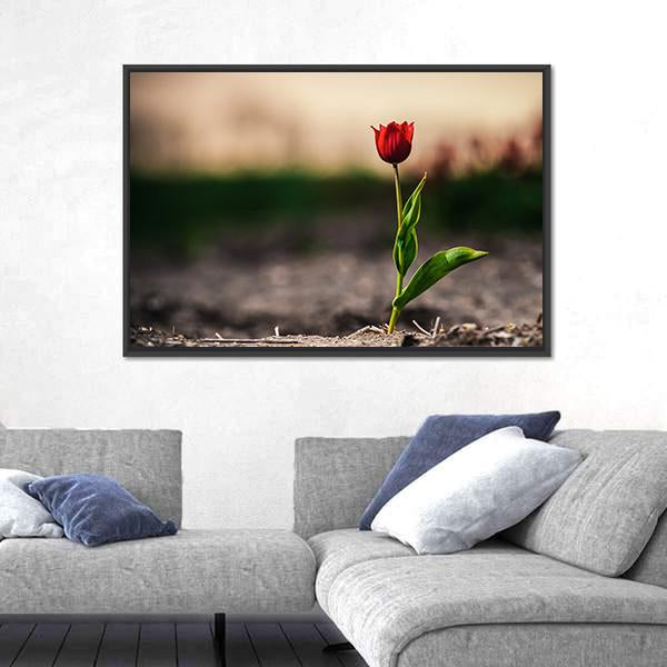 Spring Flowers In Holland Canvas Wall Art-5 Horizontal-Gallery Wrap-22" x 12"-Tiaracle