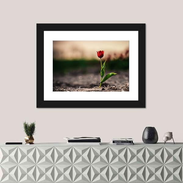 Spring Flowers In Holland Canvas Wall Art-5 Horizontal-Gallery Wrap-22" x 12"-Tiaracle