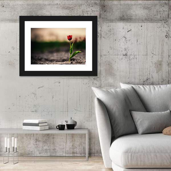 Spring Flowers In Holland Canvas Wall Art-5 Horizontal-Gallery Wrap-22" x 12"-Tiaracle
