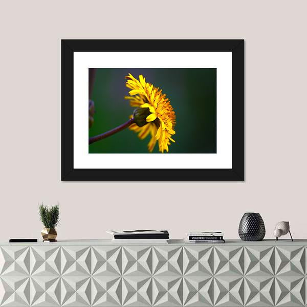 Spring In Bloom Canvas Wall Art-1 Piece-Framed Print-20" x 16"-Tiaracle