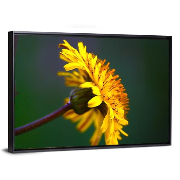 Spring In Bloom Canvas Wall Art-3 Horizontal-Gallery Wrap-25" x 16"-Tiaracle