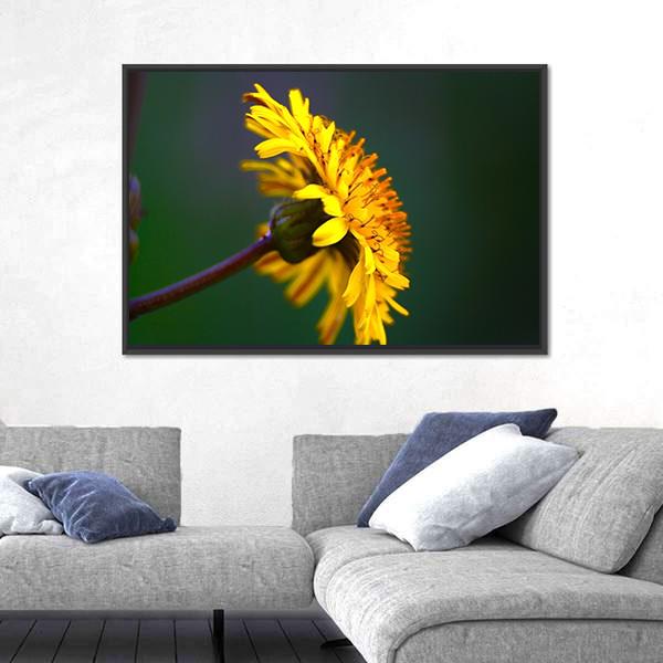 Spring In Bloom Canvas Wall Art-3 Horizontal-Gallery Wrap-25" x 16"-Tiaracle