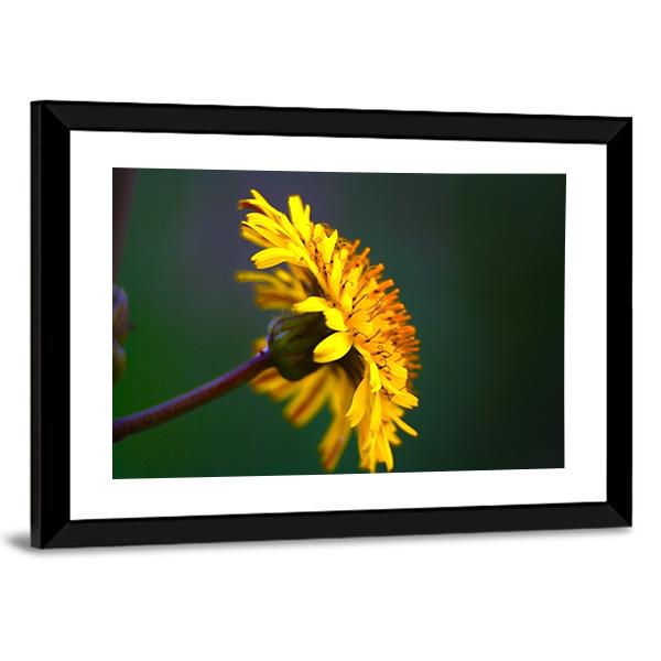 Spring In Bloom Canvas Wall Art-3 Horizontal-Gallery Wrap-25" x 16"-Tiaracle