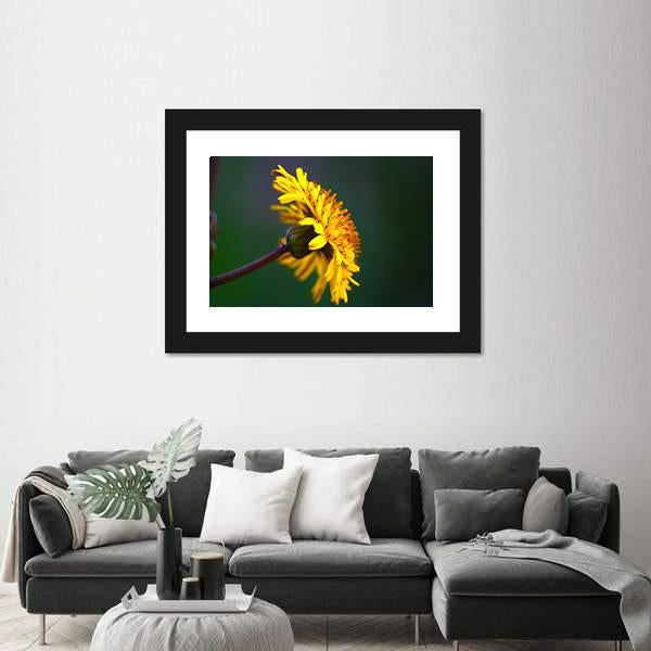 Spring In Bloom Canvas Wall Art-3 Horizontal-Gallery Wrap-25" x 16"-Tiaracle