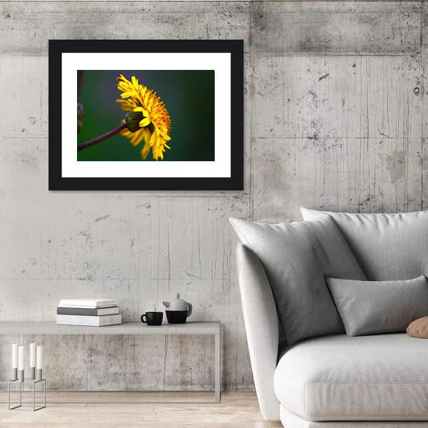 Spring In Bloom Canvas Wall Art-3 Horizontal-Gallery Wrap-25" x 16"-Tiaracle