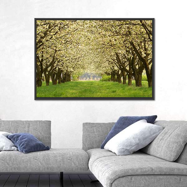 Spring In Cherry Orchard Poland Canvas Wall Art-5 Horizontal-Gallery Wrap-22" x 12"-Tiaracle