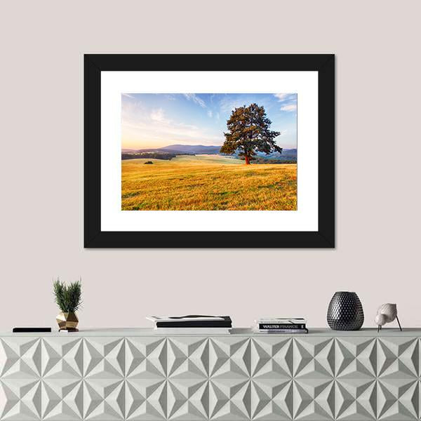 Spring Landscape With Tree And Sun Canvas Wall Art-1 Piece-Framed Print-20" x 16"-Tiaracle