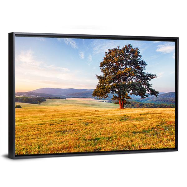 Spring Landscape With Tree And Sun Canvas Wall Art-3 Horizontal-Gallery Wrap-25" x 16"-Tiaracle