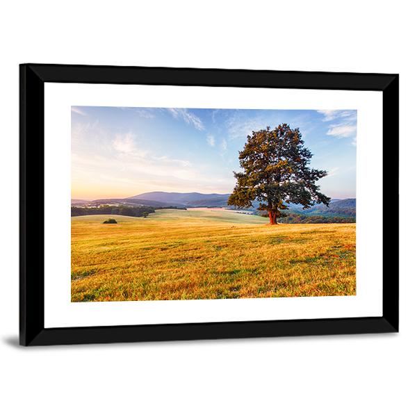 Spring Landscape With Tree And Sun Canvas Wall Art-3 Horizontal-Gallery Wrap-25" x 16"-Tiaracle