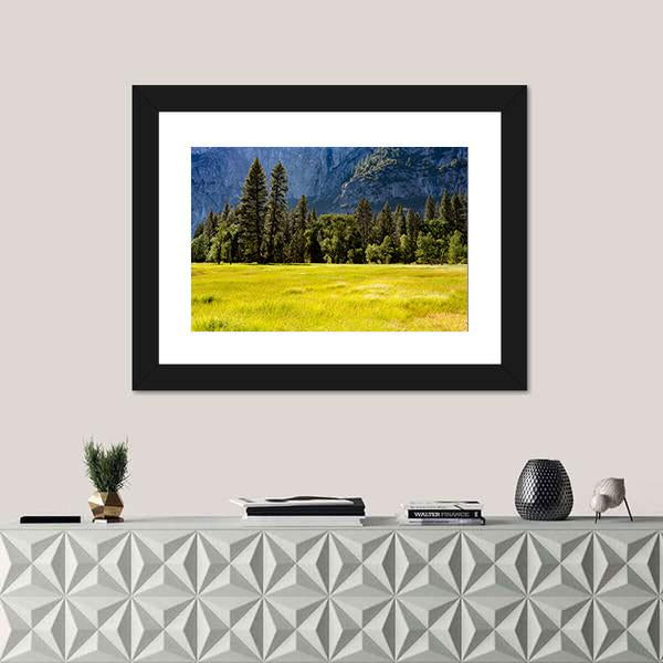 Spring Meadow At Yosemite National Park Canvas Wall Art-1 Piece-Framed Print-20" x 16"-Tiaracle