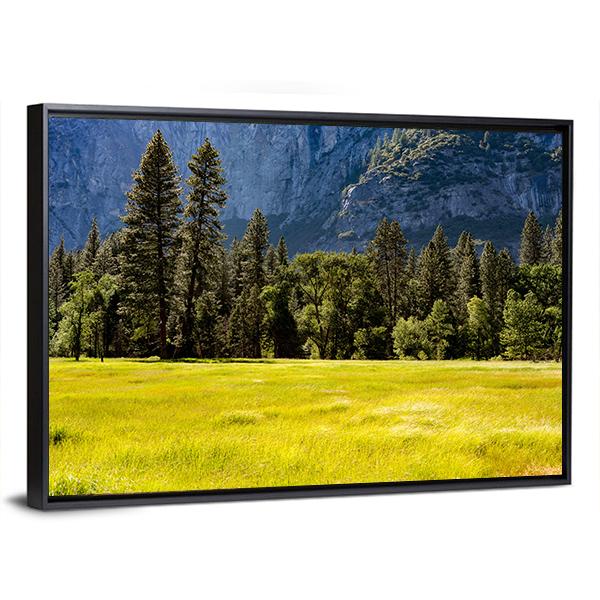 Spring Meadow At Yosemite National Park Canvas Wall Art-3 Horizontal-Gallery Wrap-25" x 16"-Tiaracle