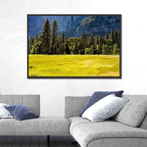 Spring Meadow At Yosemite National Park Canvas Wall Art-3 Horizontal-Gallery Wrap-25" x 16"-Tiaracle