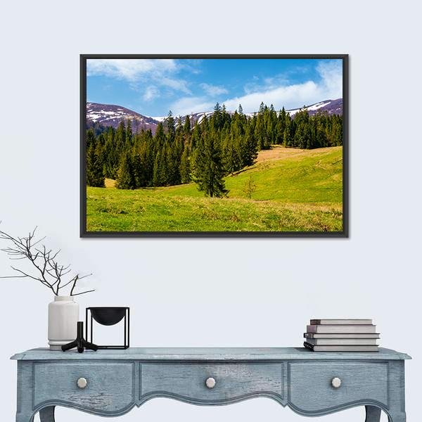 Spruce Forest On The Grassy Hills Canvas Wall Art-1 Piece-Floating Frame-24" x 16"-Tiaracle