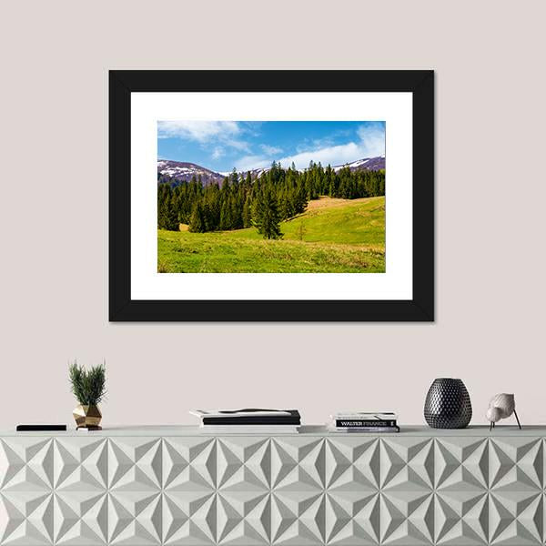 Spruce Forest On The Grassy Hills Canvas Wall Art-1 Piece-Framed Print-20" x 16"-Tiaracle