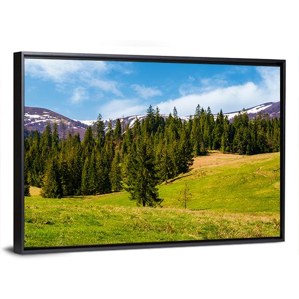 Spruce Forest On The Grassy Hills Canvas Wall Art-3 Horizontal-Gallery Wrap-25" x 16"-Tiaracle
