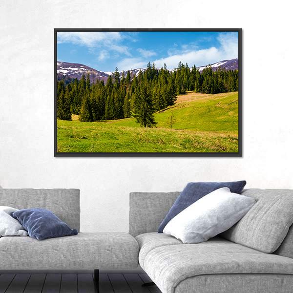 Spruce Forest On The Grassy Hills Canvas Wall Art-3 Horizontal-Gallery Wrap-25" x 16"-Tiaracle