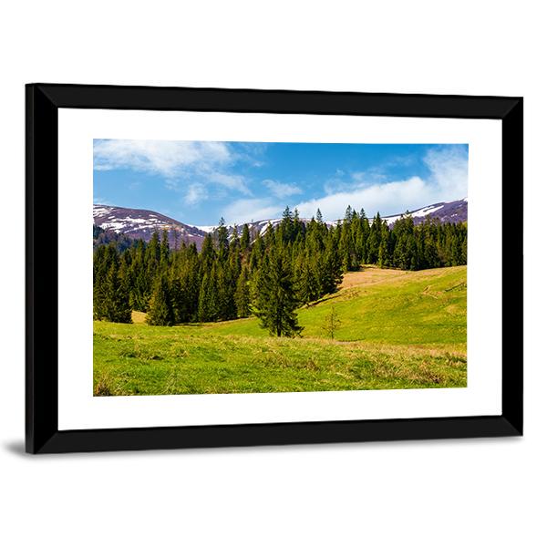 Spruce Forest On The Grassy Hills Canvas Wall Art-3 Horizontal-Gallery Wrap-25" x 16"-Tiaracle