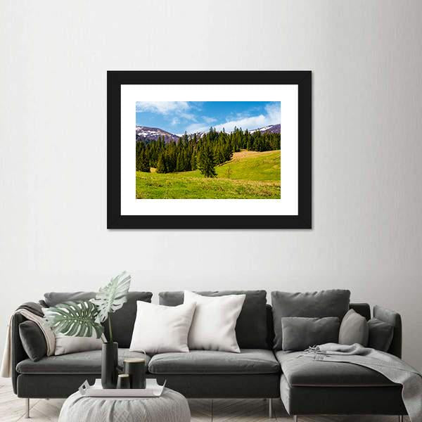 Spruce Forest On The Grassy Hills Canvas Wall Art-3 Horizontal-Gallery Wrap-25" x 16"-Tiaracle