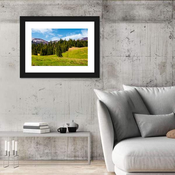 Spruce Forest On The Grassy Hills Canvas Wall Art-3 Horizontal-Gallery Wrap-25" x 16"-Tiaracle