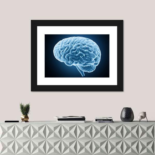 Structure Of Brain Canvas Wall Art-1 Piece-Framed Print-20" x 16"-Tiaracle