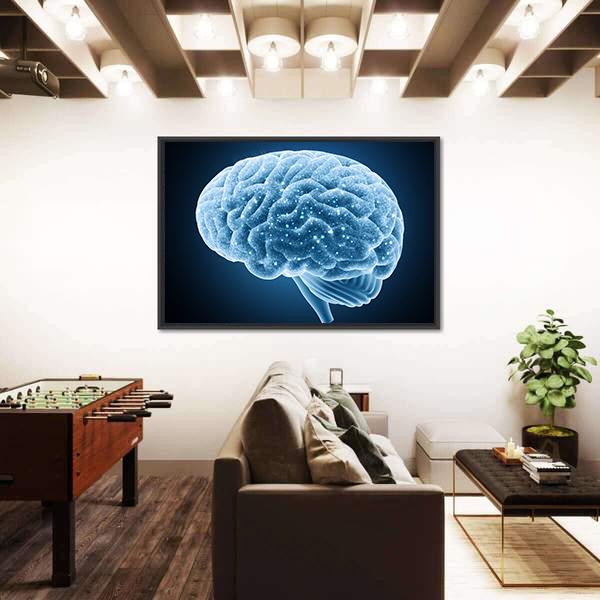 Structure Of Brain Canvas Wall Art-3 Horizontal-Gallery Wrap-25" x 16"-Tiaracle