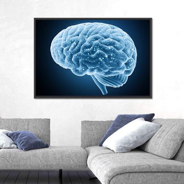 Structure Of Brain Canvas Wall Art-3 Horizontal-Gallery Wrap-25" x 16"-Tiaracle