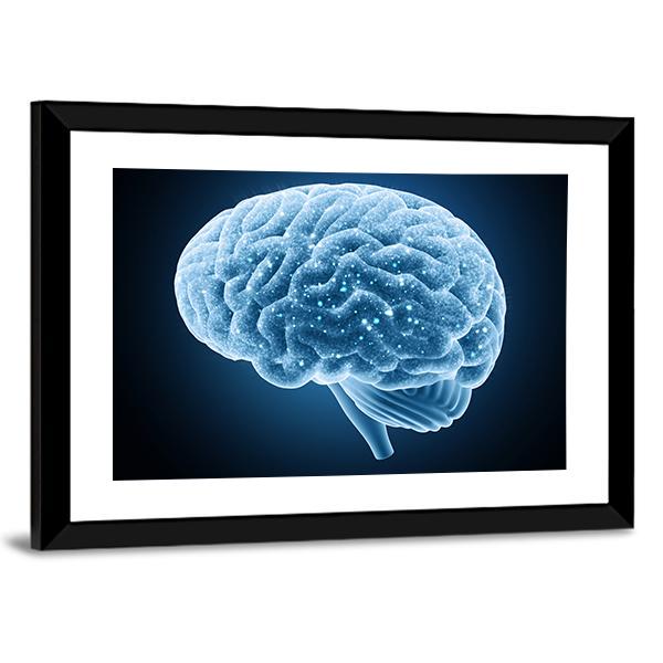 Structure Of Brain Canvas Wall Art-3 Horizontal-Gallery Wrap-25" x 16"-Tiaracle