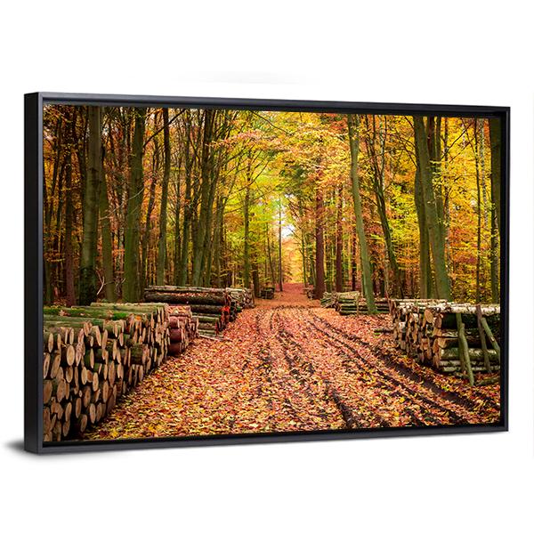 Stumped Tree In An Autumn Forest Canvas Wall Art-5 Horizontal-Gallery Wrap-22" x 12"-Tiaracle