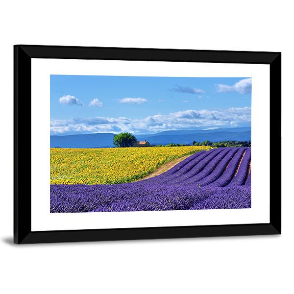 Stunning Rural Landscape With Lavender Field Canvas Wall Art-5 Horizontal-Gallery Wrap-22" x 12"-Tiaracle