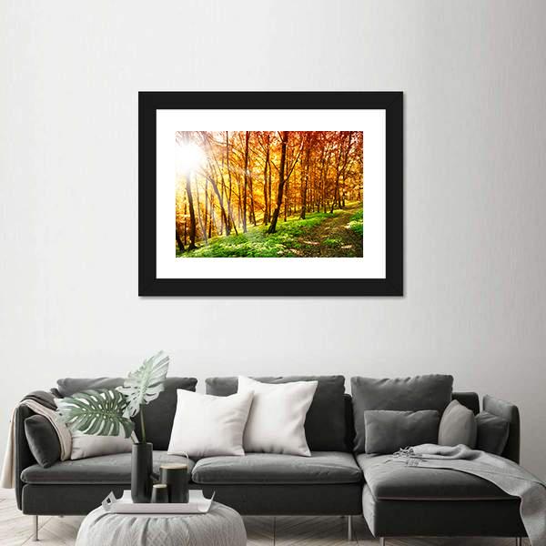 Sun In The Autumn Forest Canvas Wall Art-1 Piece-Framed Print-20" x 16"-Tiaracle