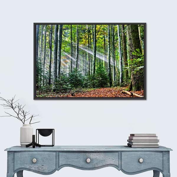 Sun Rays In The Forest Canvas Wall Art-1 Piece-Floating Frame-24&quot; x 16&quot;-Tiaracle