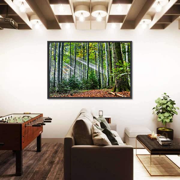 Sun Rays In The Forest Canvas Wall Art-5 Horizontal-Gallery Wrap-22" x 12"-Tiaracle