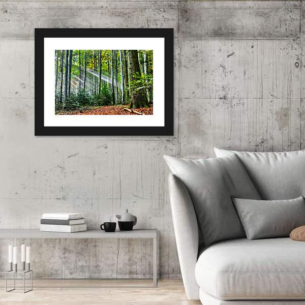 Sun Rays In The Forest Canvas Wall Art-5 Horizontal-Gallery Wrap-22" x 12"-Tiaracle