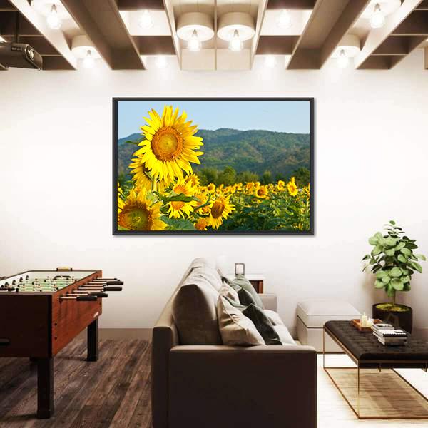 Sunflower Field And Green Mountains Canvas Wall Art-1 Piece-Floating Frame-24" x 16"-Tiaracle