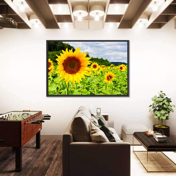 Sunflower Field In Sunny Weather Canvas Wall Art-5 Horizontal-Gallery Wrap-22" x 12"-Tiaracle