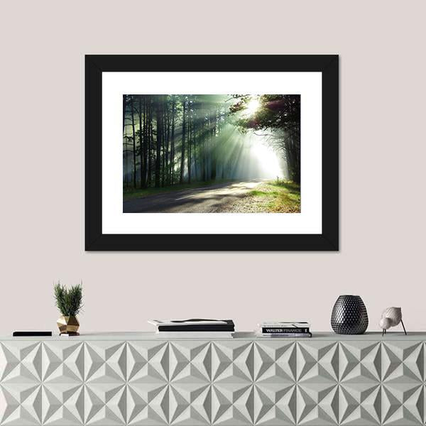 Sunlight Rays On The Forest Road Canvas Wall Art-1 Piece-Framed Print-20&quot; x 16&quot;-Tiaracle