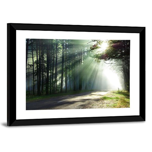 Sunlight Rays On The Forest Road Canvas Wall Art-5 Horizontal-Gallery Wrap-22&quot; x 12&quot;-Tiaracle