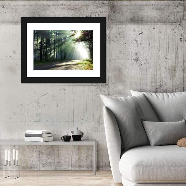 Sunlight Rays On The Forest Road Canvas Wall Art-5 Horizontal-Gallery Wrap-22" x 12"-Tiaracle