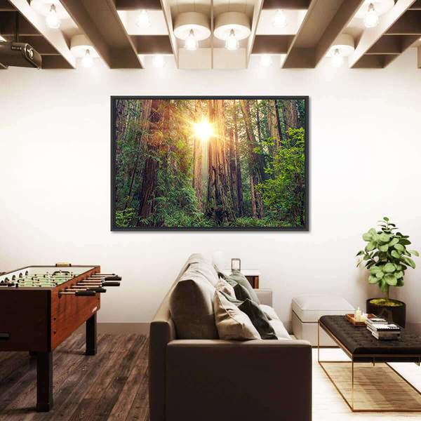 Sunny Redwood Forest In California Canvas Wall Art-1 Piece-Floating Frame-24" x 16"-Tiaracle