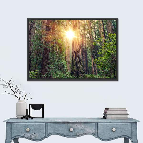 Sunny Redwood Forest In California Canvas Wall Art-5 Horizontal-Gallery Wrap-22" x 12"-Tiaracle