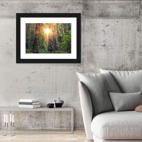 Sunny Redwood Forest In California Canvas Wall Art-5 Horizontal-Gallery Wrap-22" x 12"-Tiaracle