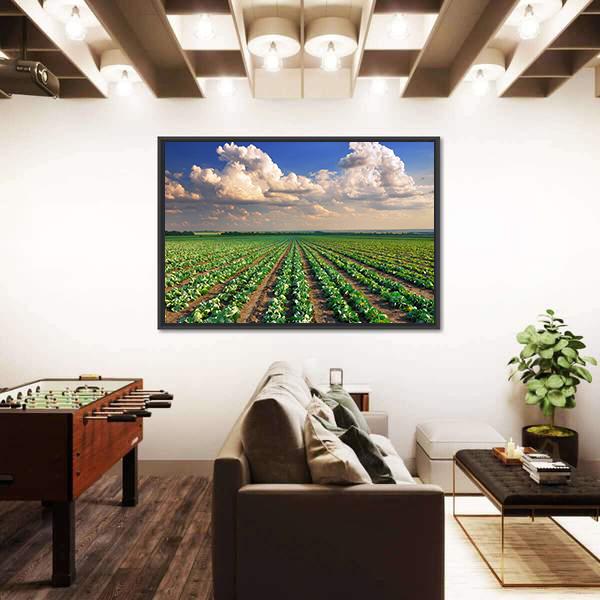 Sunrise Over The Cabbage Field Canvas Wall Art-1 Piece-Floating Frame-24" x 16"-Tiaracle