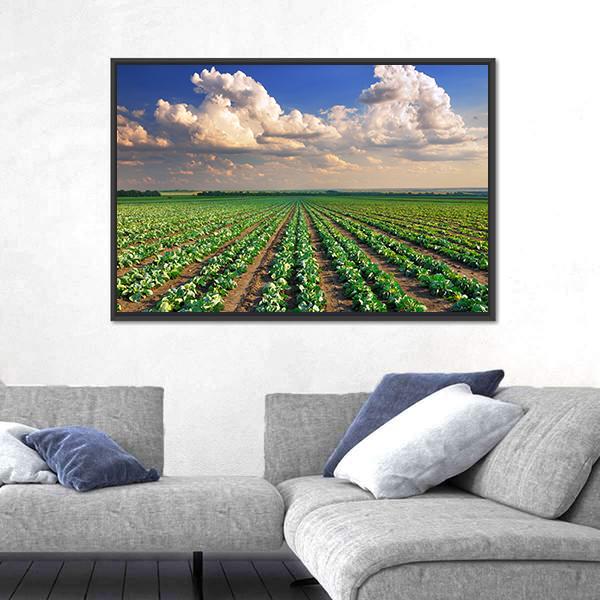 Sunrise Over The Cabbage Field Canvas Wall Art-5 Horizontal-Gallery Wrap-22" x 12"-Tiaracle