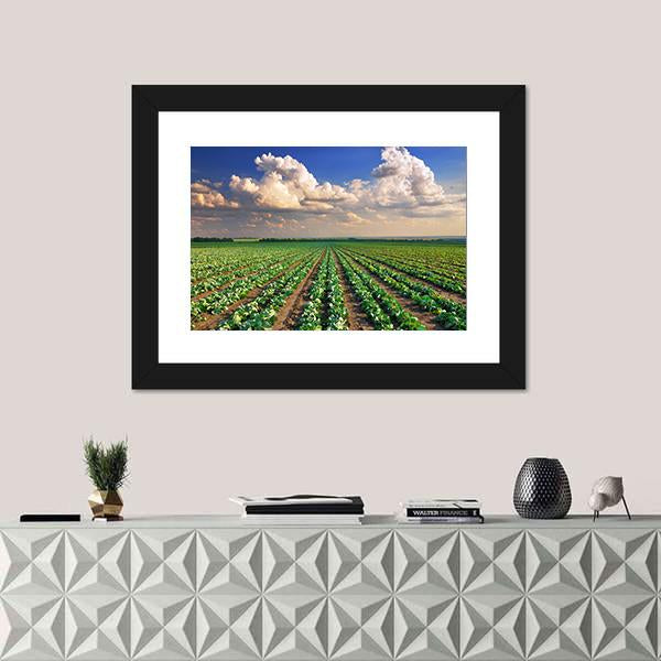 Sunrise Over The Cabbage Field Canvas Wall Art-5 Horizontal-Gallery Wrap-22" x 12"-Tiaracle