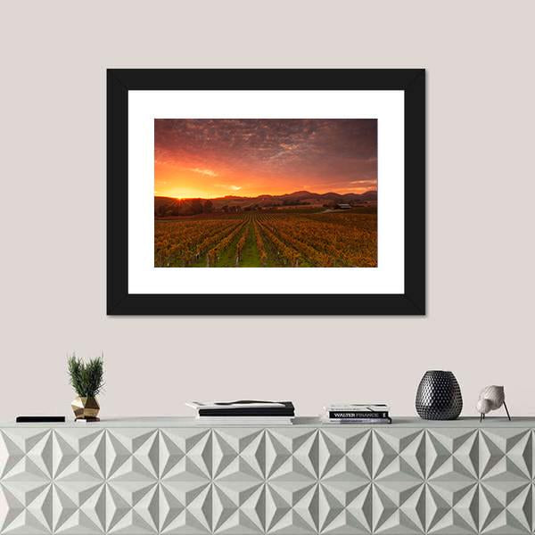 Sunrise Over Vineyards Of Napa Valley Canvas Wall Art-1 Piece-Framed Print-20" x 16"-Tiaracle