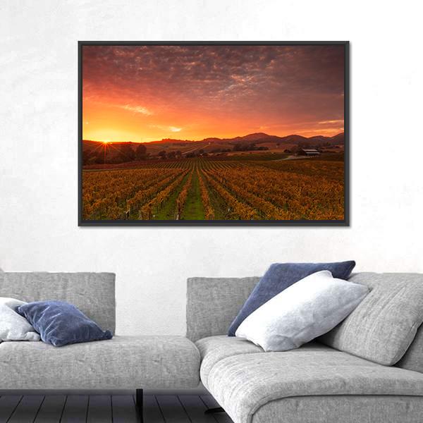 Sunrise Over Vineyards Of Napa Valley Canvas Wall Art-3 Horizontal-Gallery Wrap-25" x 16"-Tiaracle