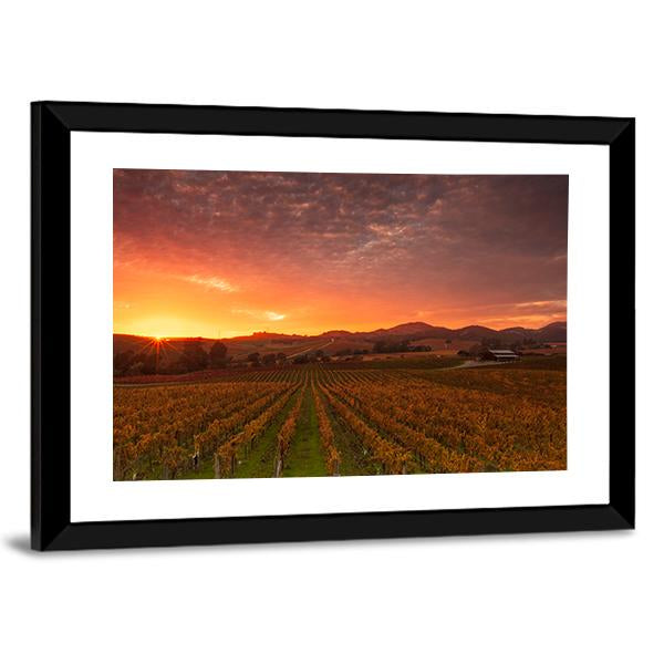 Sunrise Over Vineyards Of Napa Valley Canvas Wall Art-5 Horizontal-Gallery Wrap-22" x 12"-Tiaracle