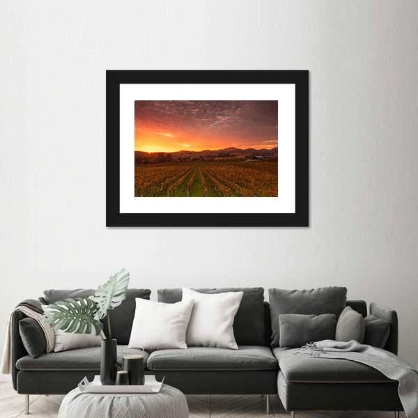 Sunrise Over Vineyards Of Napa Valley Canvas Wall Art-3 Horizontal-Gallery Wrap-25" x 16"-Tiaracle