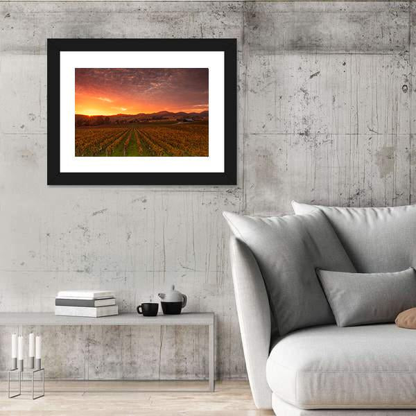 Sunrise Over Vineyards Of Napa Valley Canvas Wall Art-5 Horizontal-Gallery Wrap-22" x 12"-Tiaracle
