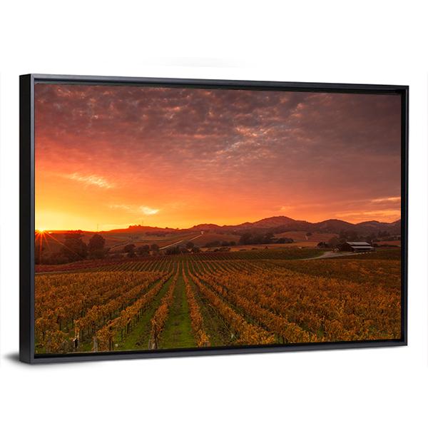Sunrise Over Vineyards Of Napa Valley Canvas Wall Art-5 Horizontal-Gallery Wrap-22" x 12"-Tiaracle